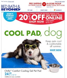 cooling products for pets